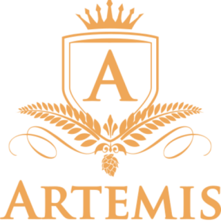 https://bierfestivalkampen.nl/wp-content/uploads/2021/12/cropped-Logo-ontwerp-Artemis-geel-1-320x320.png